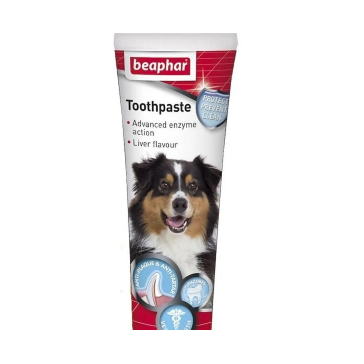 Toothpaste 100 g