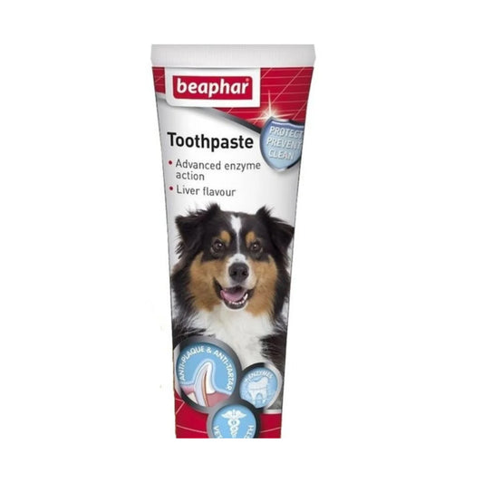 Toothpaste 100 g