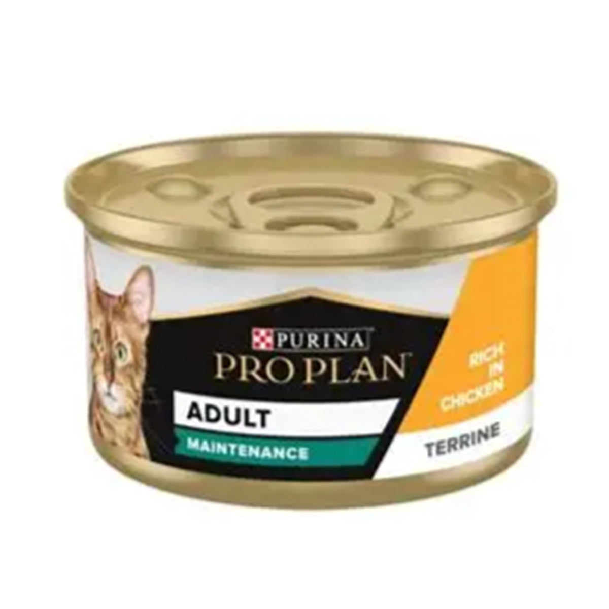 Pro plan maintenance adult wet cat food terrine 85g