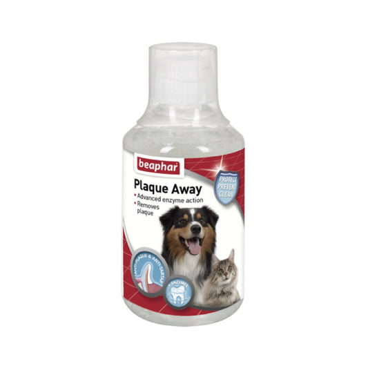 Mouth Wash 250 ml