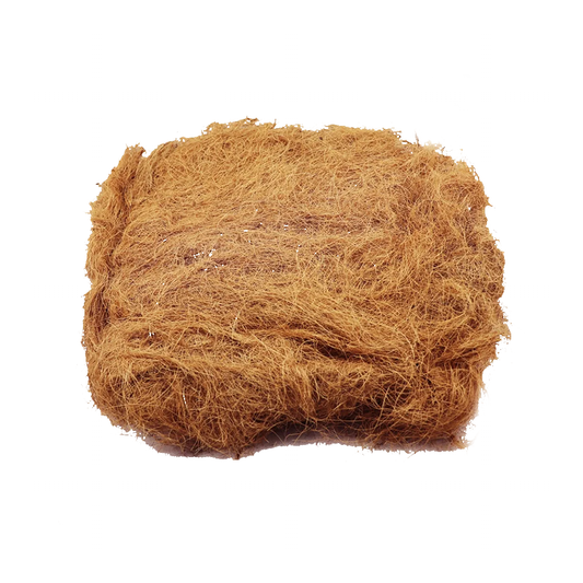 Nest Chagiri 100g