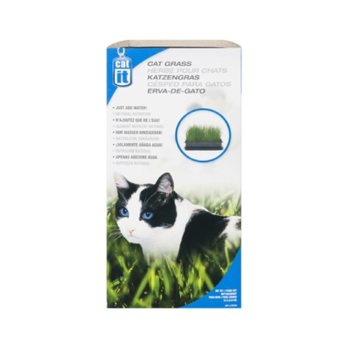 Cat Grass - 75g